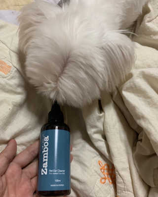 새초미님이 올린 리뷰 사진 2