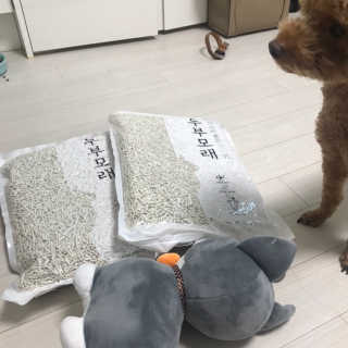 으나으나햐님이 올린 리뷰 사진 2