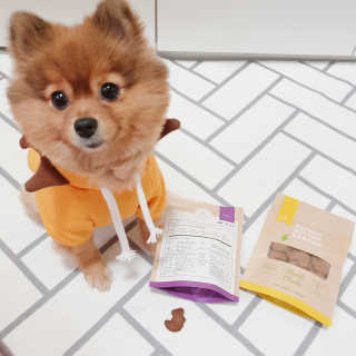 [브루클린펫코] 프리미엄 강아지 수제 쿠키 2종 SET — 5점을 준 리뷰어가 2020년 3월 올린 사용 사진