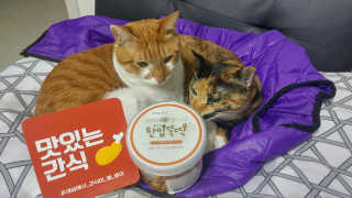 오나오나님이 올린 리뷰 사진 1