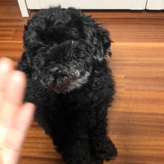 rinihi님이 올린 리뷰 사진 1