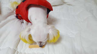 핑크스완님이 올린 리뷰 사진 4