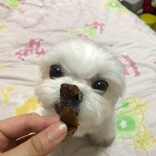 sunnnyef님이 올린 리뷰 사진 1