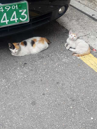 Pic_429님이 올린 리뷰 사진 3