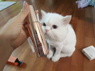 메디페르 루테인 포스앰플 50ml — 3.5점을 준 리뷰어가 2019년 10월 올린 사용 사진