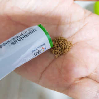 황제태태님이 올린 리뷰 사진 1