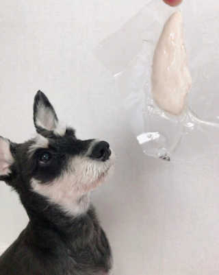 신은총님이 올린 리뷰 사진 1
