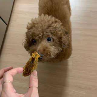 투밍님이 올린 리뷰 사진 3
