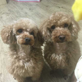 소리나리님이 올린 리뷰 사진 2