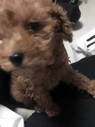 샤론님님이 올린 리뷰 사진 2