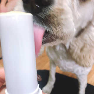 taeni님이 올린 리뷰 사진 4