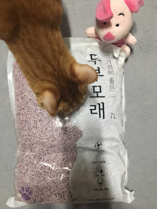 냠콩님이 올린 리뷰 사진 3