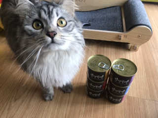 배융빵님이 올린 리뷰 사진 3