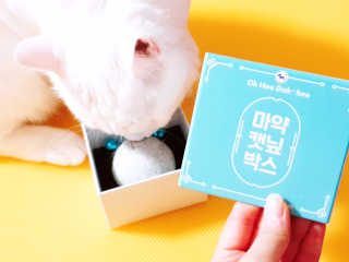 엘양님이 올린 리뷰 사진 1
