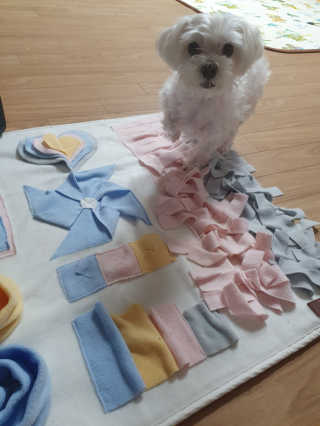 마이쭈님이 올린 리뷰 사진 2