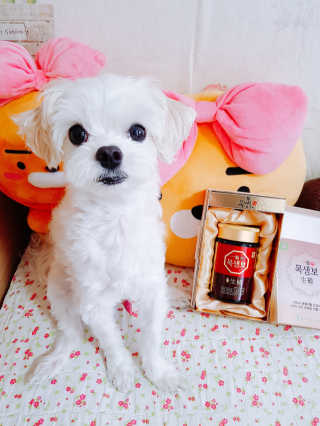 youngran님이 올린 리뷰 사진 1
