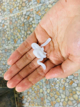 SoHeeLee님이 올린 리뷰 사진 3