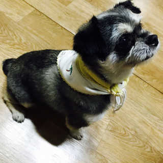 백민호님이 올린 리뷰 사진 2