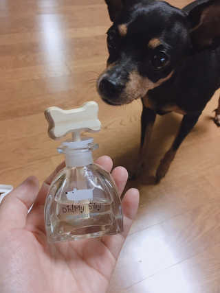 jaehwa님이 올린 리뷰 사진 1