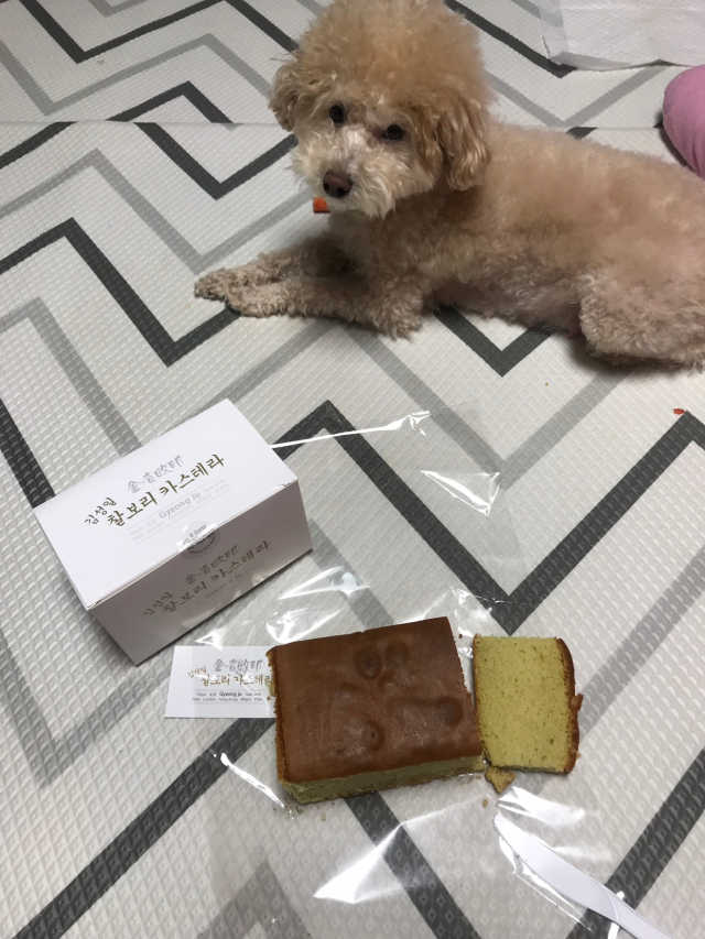 김성일찰보리카스테라 리뷰 사진