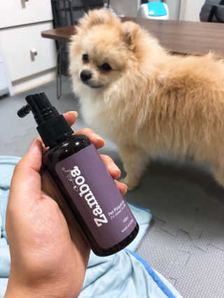 삼백이님이 올린 리뷰 사진 1