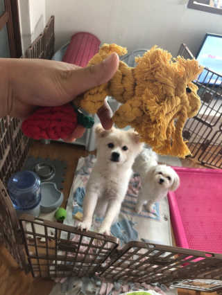 정혜원님이 올린 리뷰 사진 2
