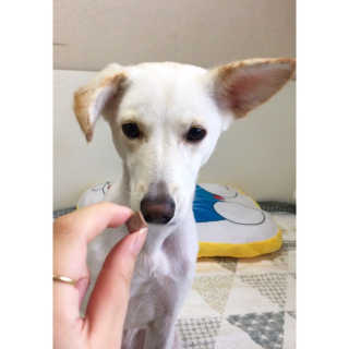 화여밍님이 올린 리뷰 사진 2