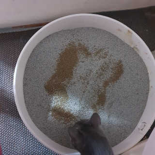 미애님이 올린 리뷰 사진 2