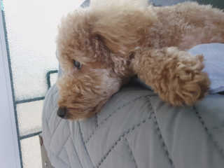 fksrud7425님이 올린 리뷰 사진 3