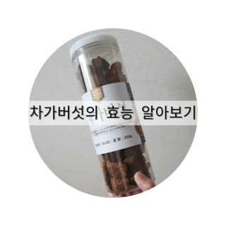 율ʕ•ᴥ•ʔ님이 올린 리뷰 사진 1