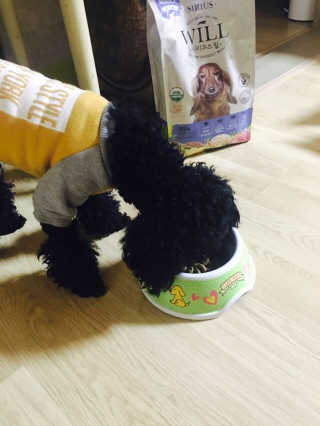 챌블리님이 올린 리뷰 사진 3