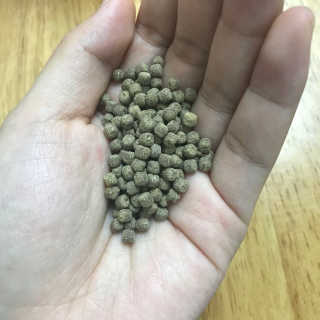 바디랩 오늘도 변모닝 7g 차전자피 식이섬유 — 4.33점을 준 리뷰어가 2018년 3월 올린 사용 사진