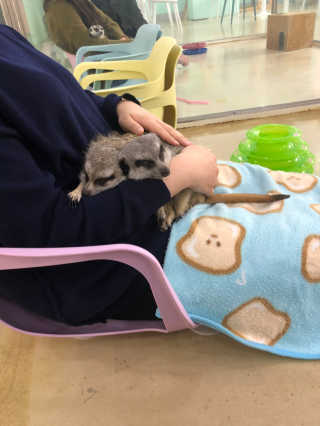 하니님이 올린 리뷰 사진 2