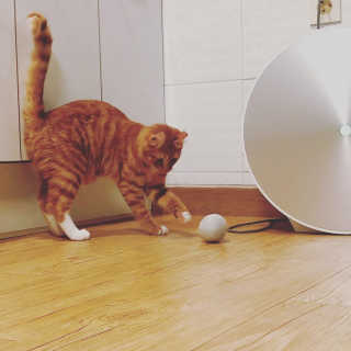 니나노나님이 올린 리뷰 사진 1