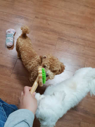 하승님이 올린 리뷰 사진 3
