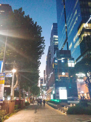 아보카도올리브님이 올린 리뷰 사진 1