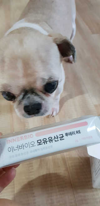 엘리님이 올린 리뷰 사진 2