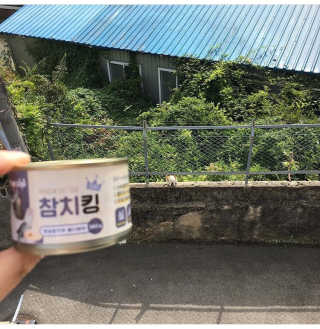 자이니님이 올린 리뷰 사진 2