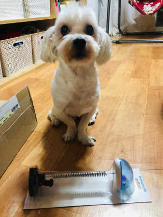 곽현정님이 올린 리뷰 사진 2