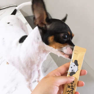 [펫토리아]짜먹는 한입뚝딱 강아지.고양이 마약간식 — 4점을 준 리뷰어가 2019년 8월 올린 사용 사진