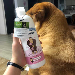 알포도님이 올린 리뷰 사진 2
