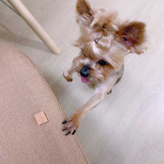 유아나님이 올린 리뷰 사진 4