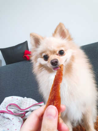 포비탄님이 올린 리뷰 사진 2