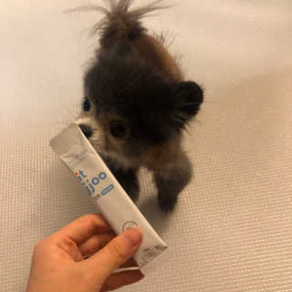 송봄이아님이 올린 리뷰 사진 2