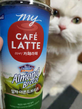 마이카페라떼 말차 아몬드브리즈 7개입 — 5점을 준 리뷰어가 2019년 11월 올린 사용 사진