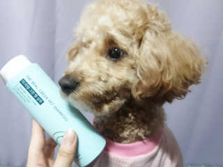 란아님이 올린 리뷰 사진 1