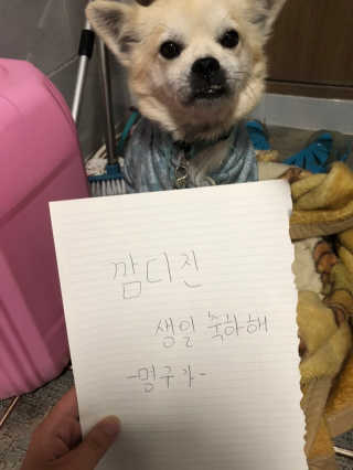 [프레베] 꼬깔양배추 3통 1.8kg 이상 — 5점을 준 리뷰어가 2018년 12월 올린 사용 사진