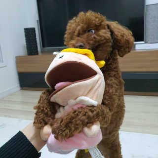 봄찌님이 올린 리뷰 사진 1