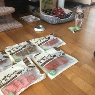 펫토리아 한입뚝딱 국내산 강아지간식 BEST 5종 — 5점을 준 리뷰어가 2019년 5월 올린 사용 사진