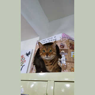 최혜지님이 올린 리뷰 사진 4